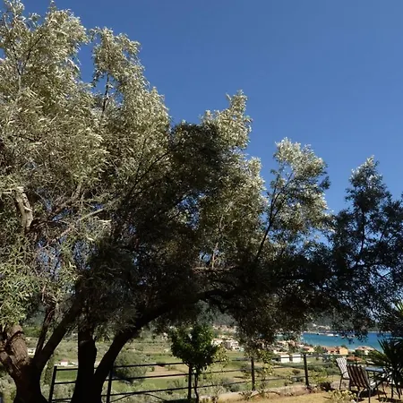 Orizontas Vasiliki